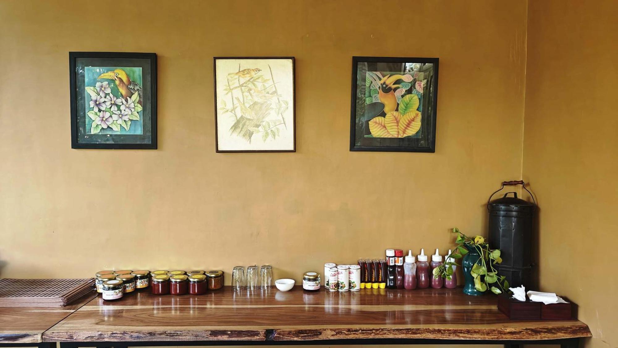 Girisadan Organic Farm Retreat & Botanical Forest Farm stay