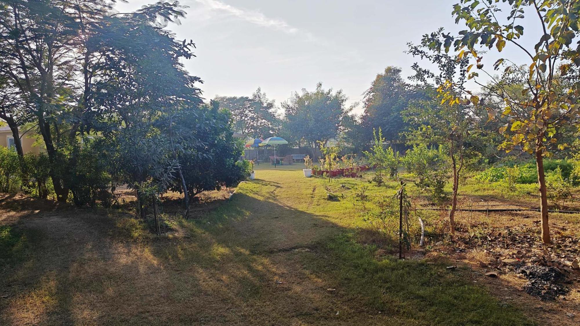 Girisadan Organic Farm Retreat & Botanical Forest Farm stay