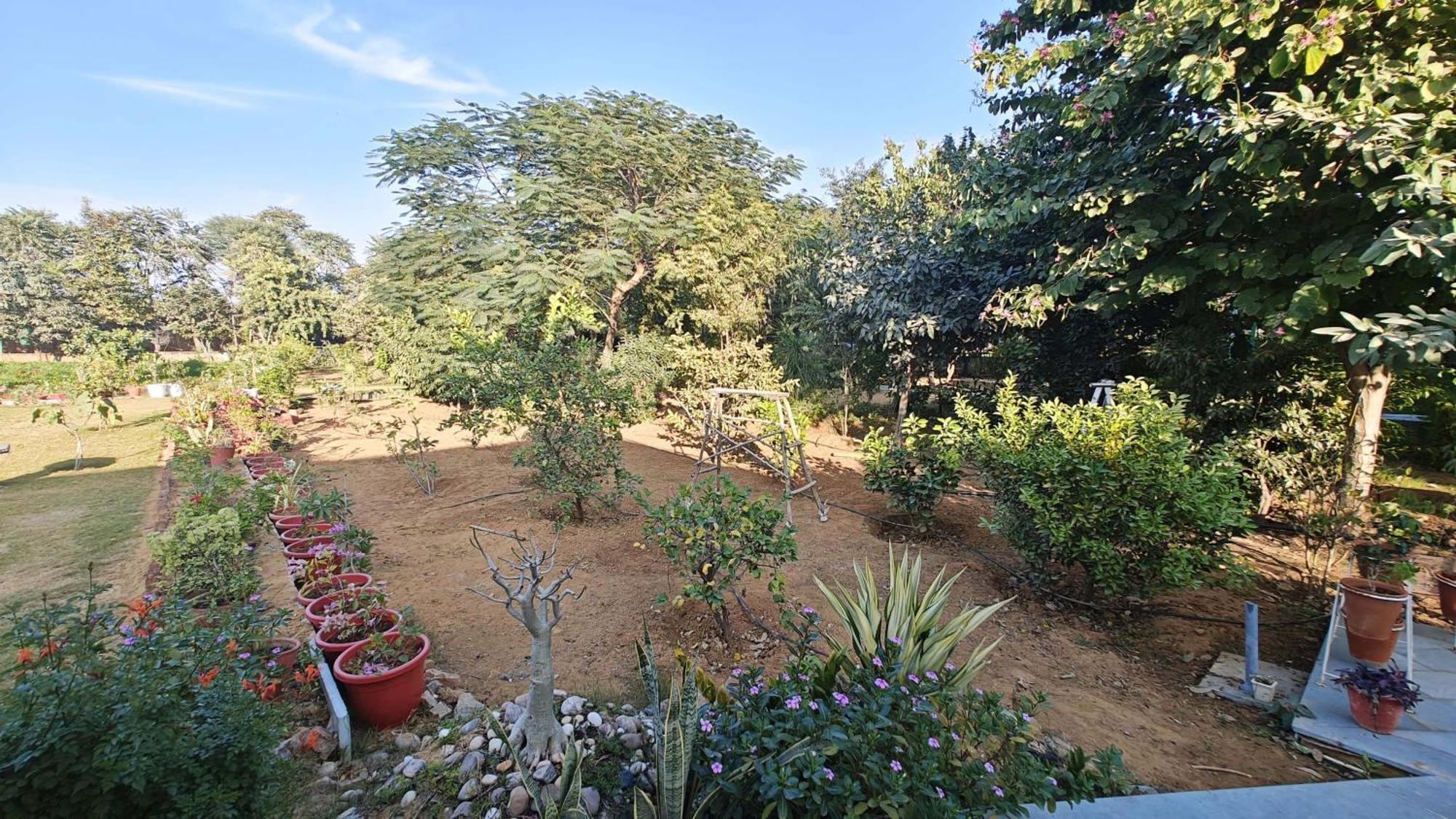 Girisadan Organic Farm Retreat & Botanical Forest Jaipur