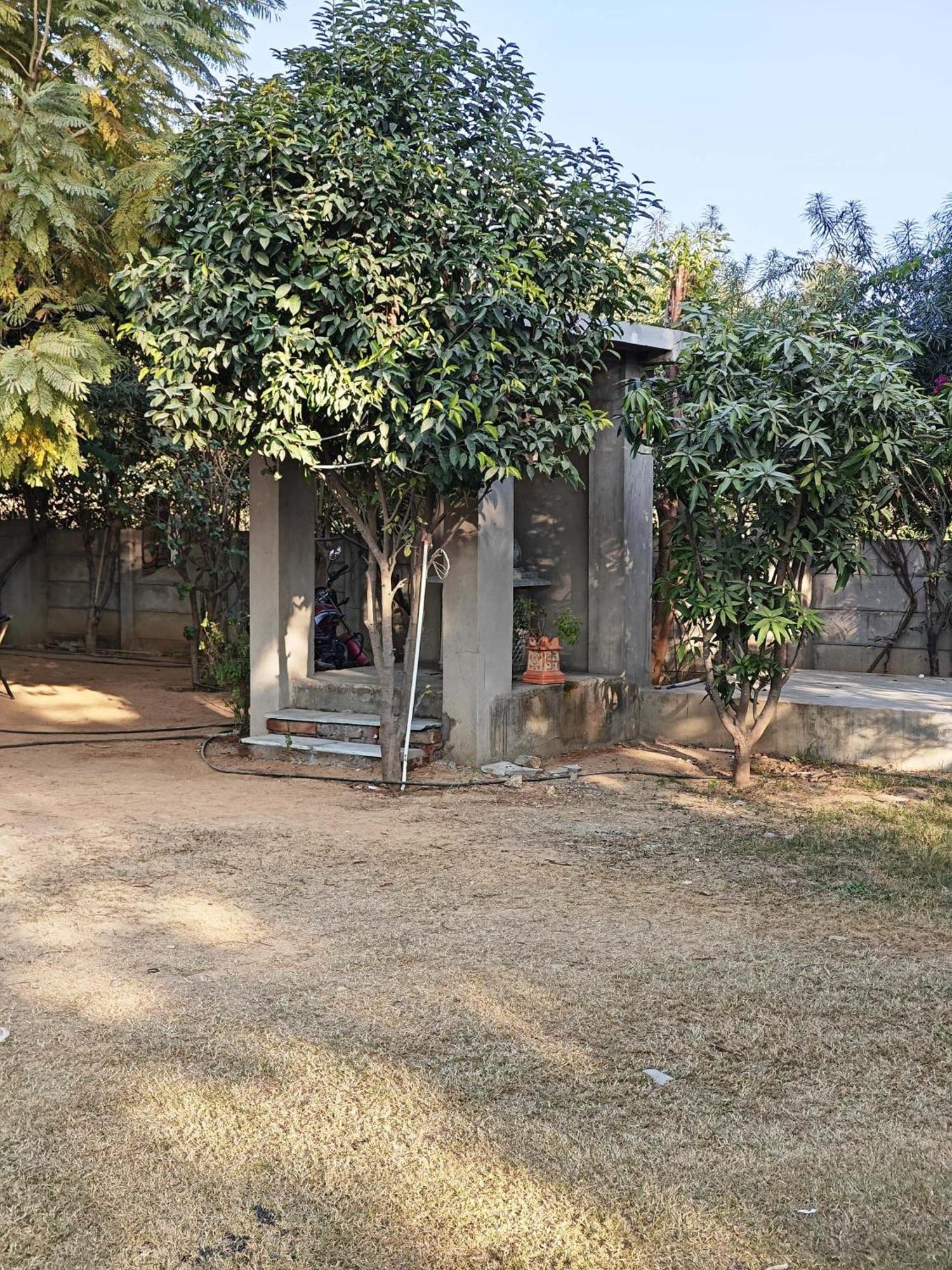 Farm stay Girisadan Organic Farm Retreat & Botanical Forest Jaipur