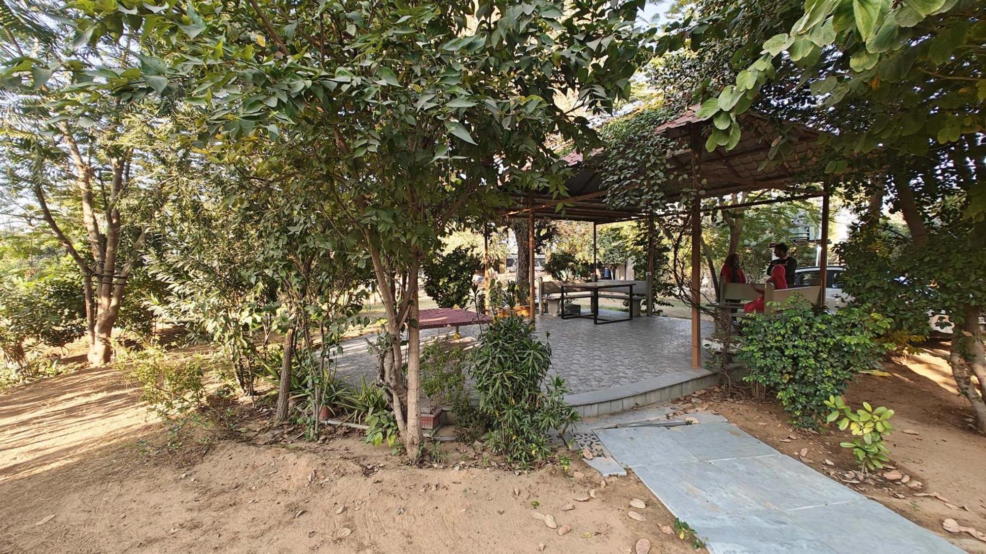 Girisadan Organic Farm Retreat & Botanical Forest Jaipur