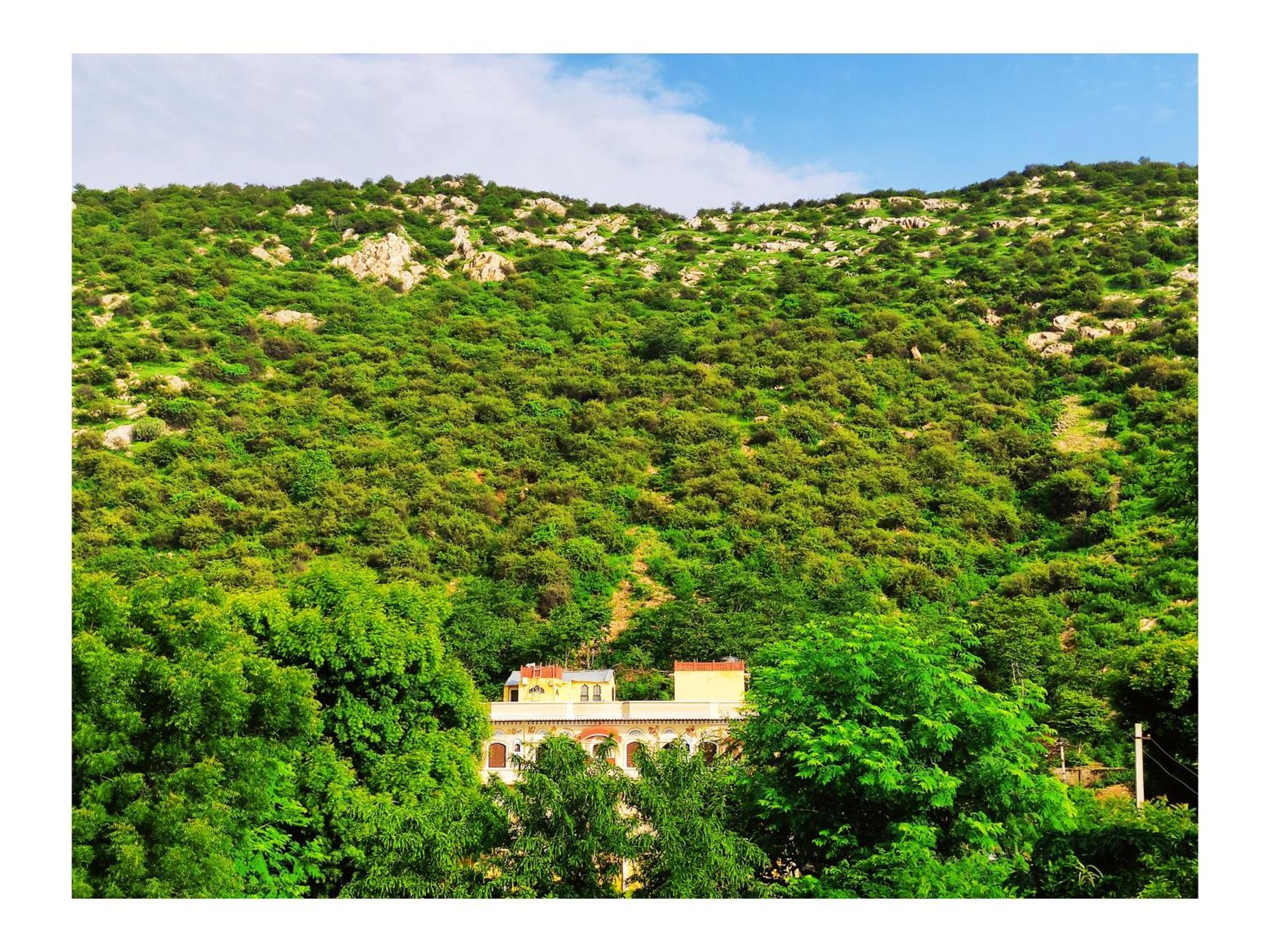Raj Haveli- A Heritage Samode Bed & Breakfast *
