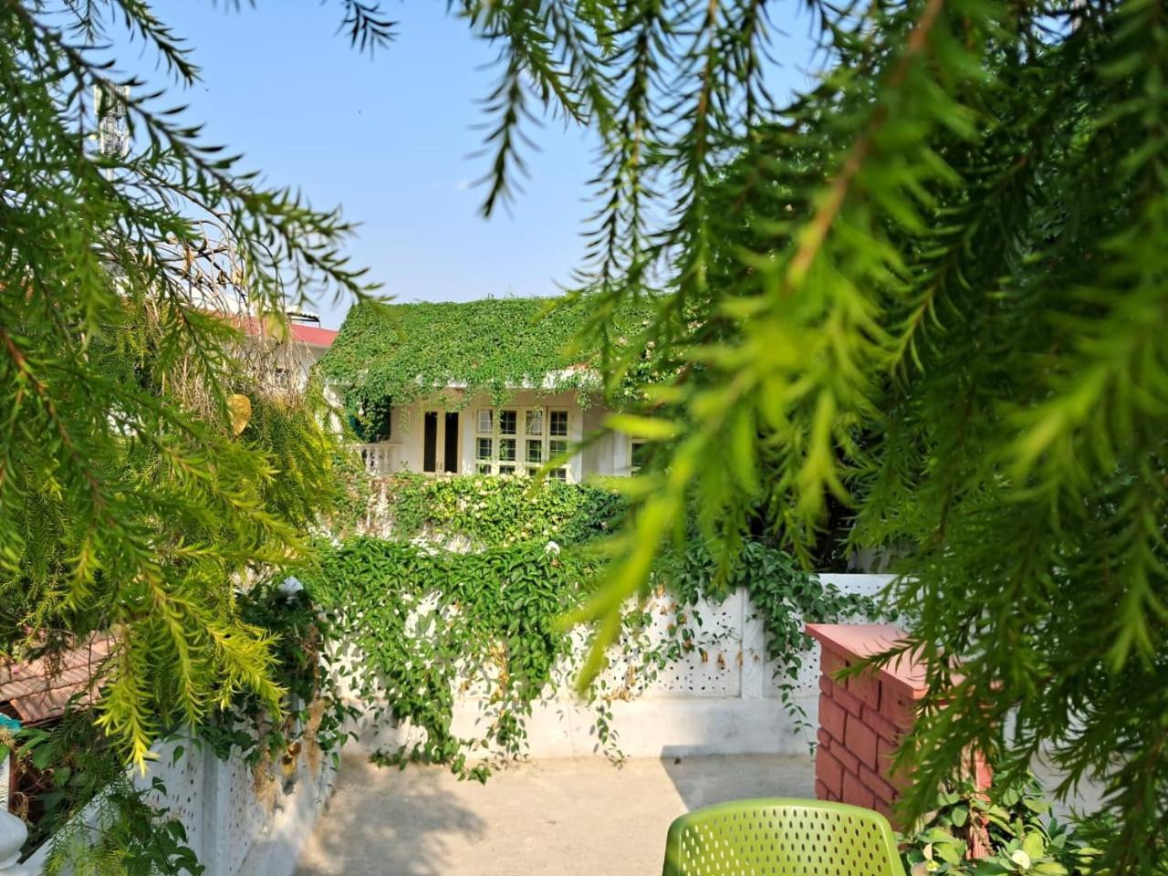Vijaya's Homestead Bed & Breakfast