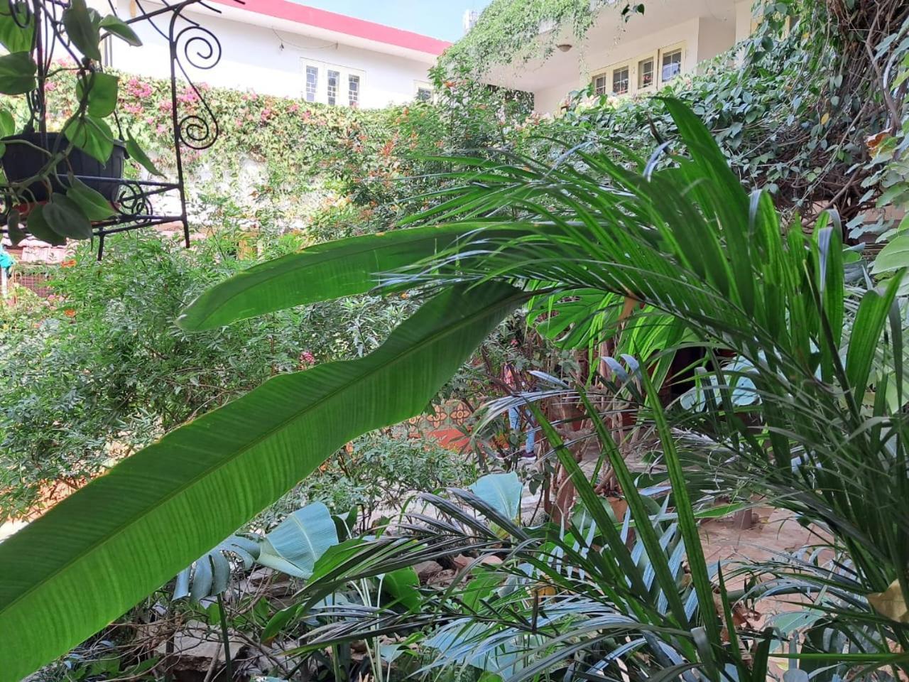 Bed & Breakfast Vijaya's Homestead 2*