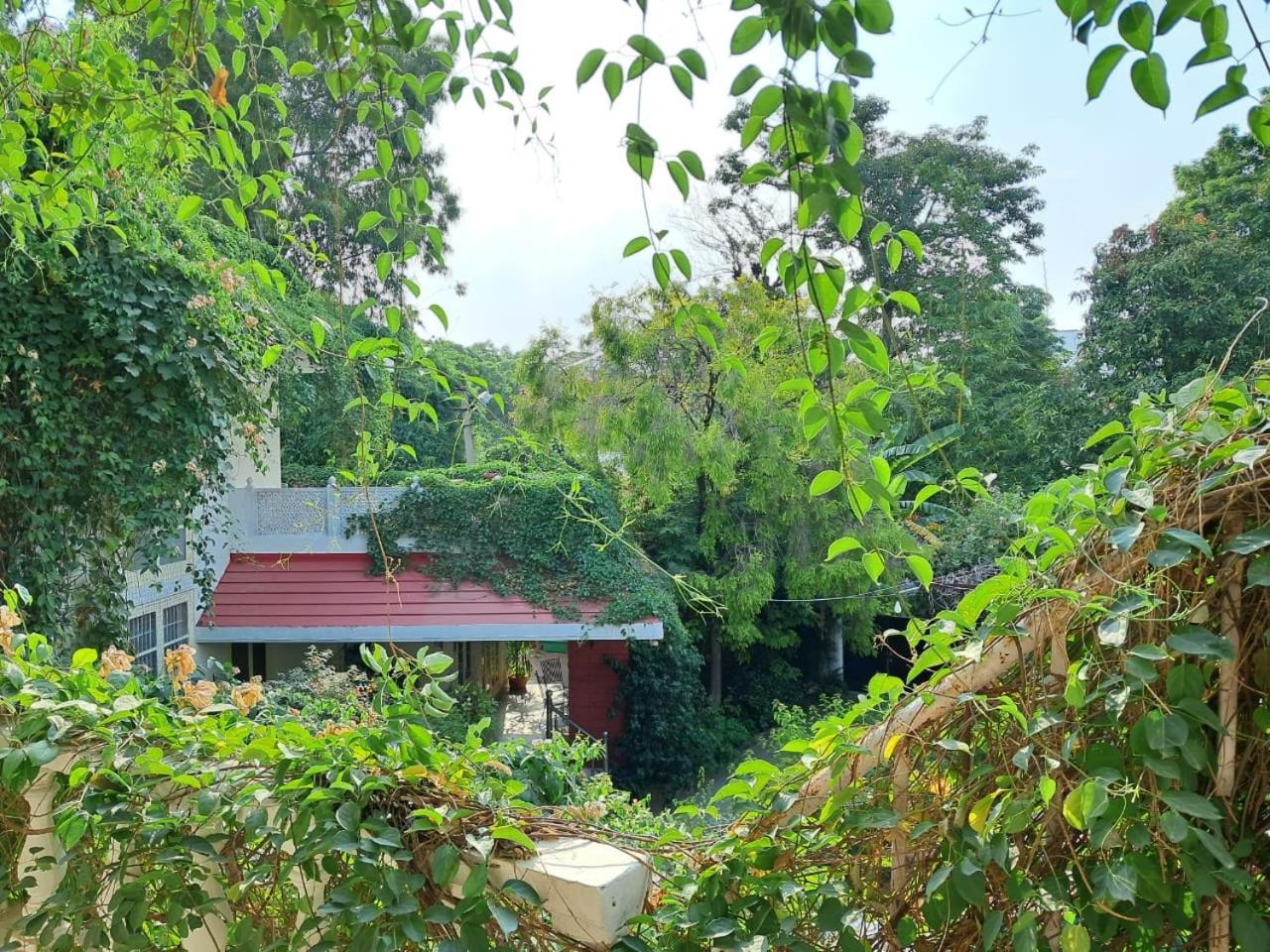 Bed & Breakfast Vijaya's Homestead Jaipur