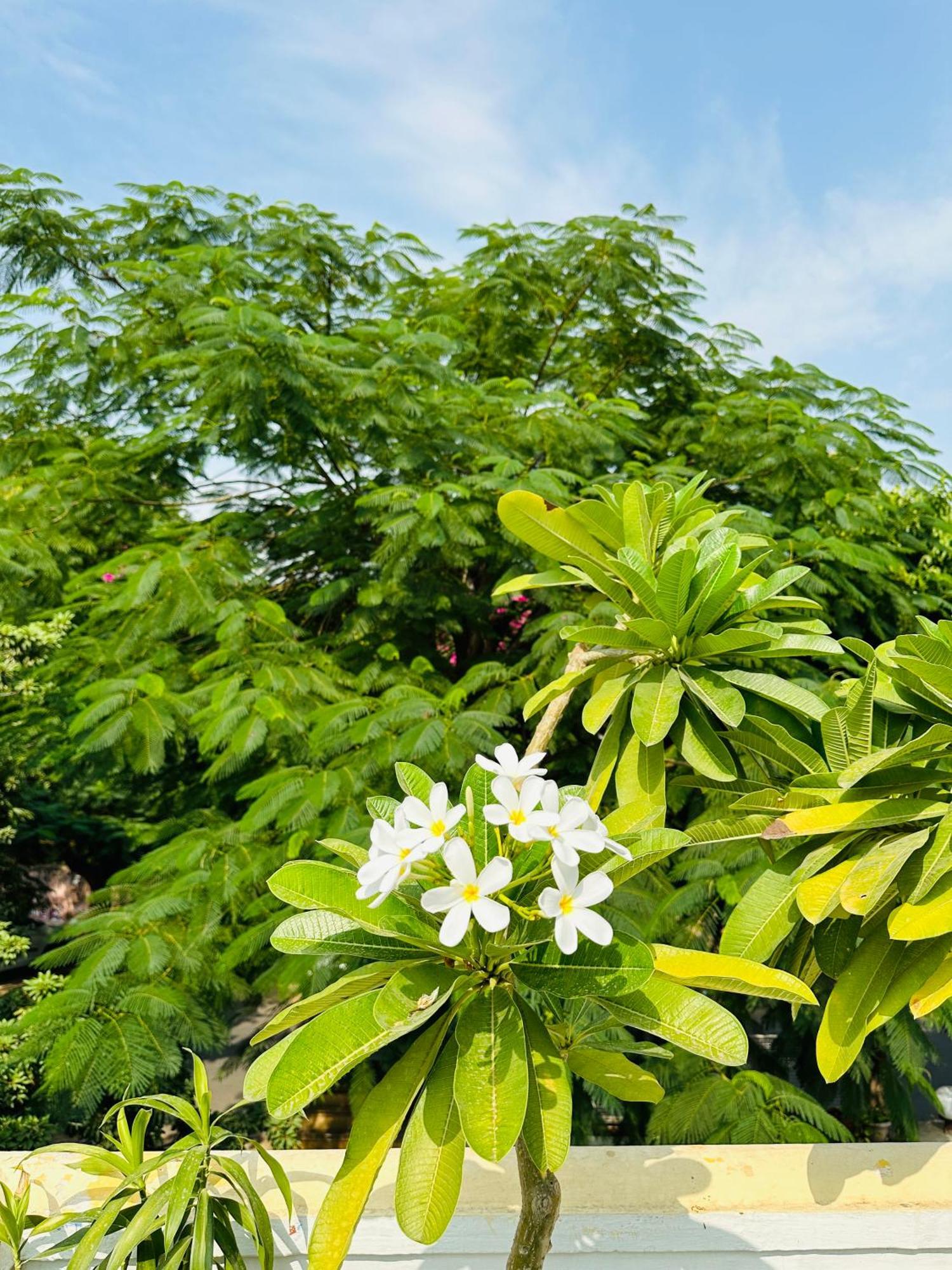 Anandmai - Sustainable Living Spaces