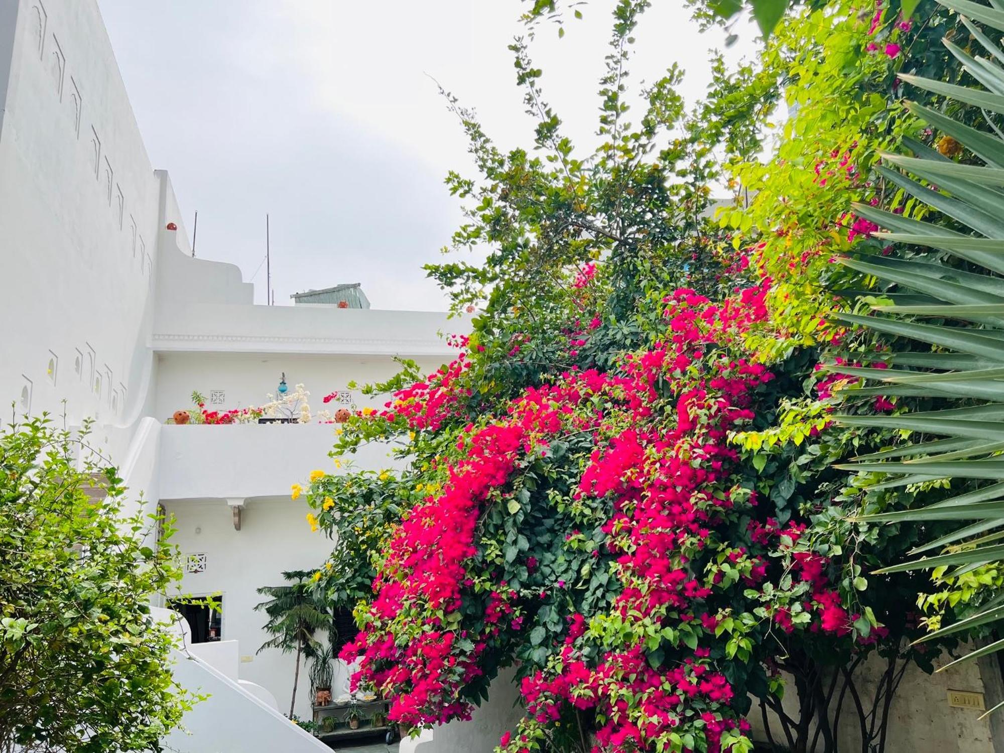 Guest house Mosaics Jaipur