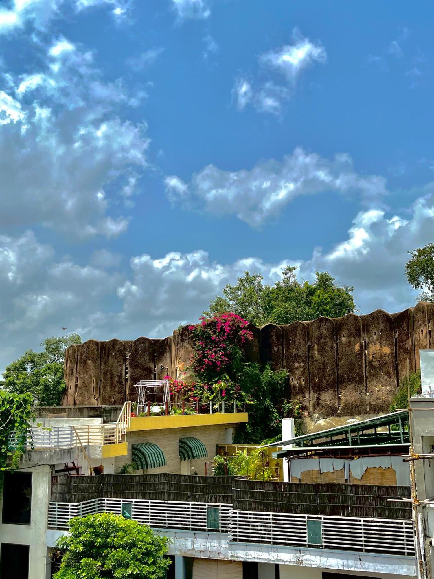 Beena Jaipur
