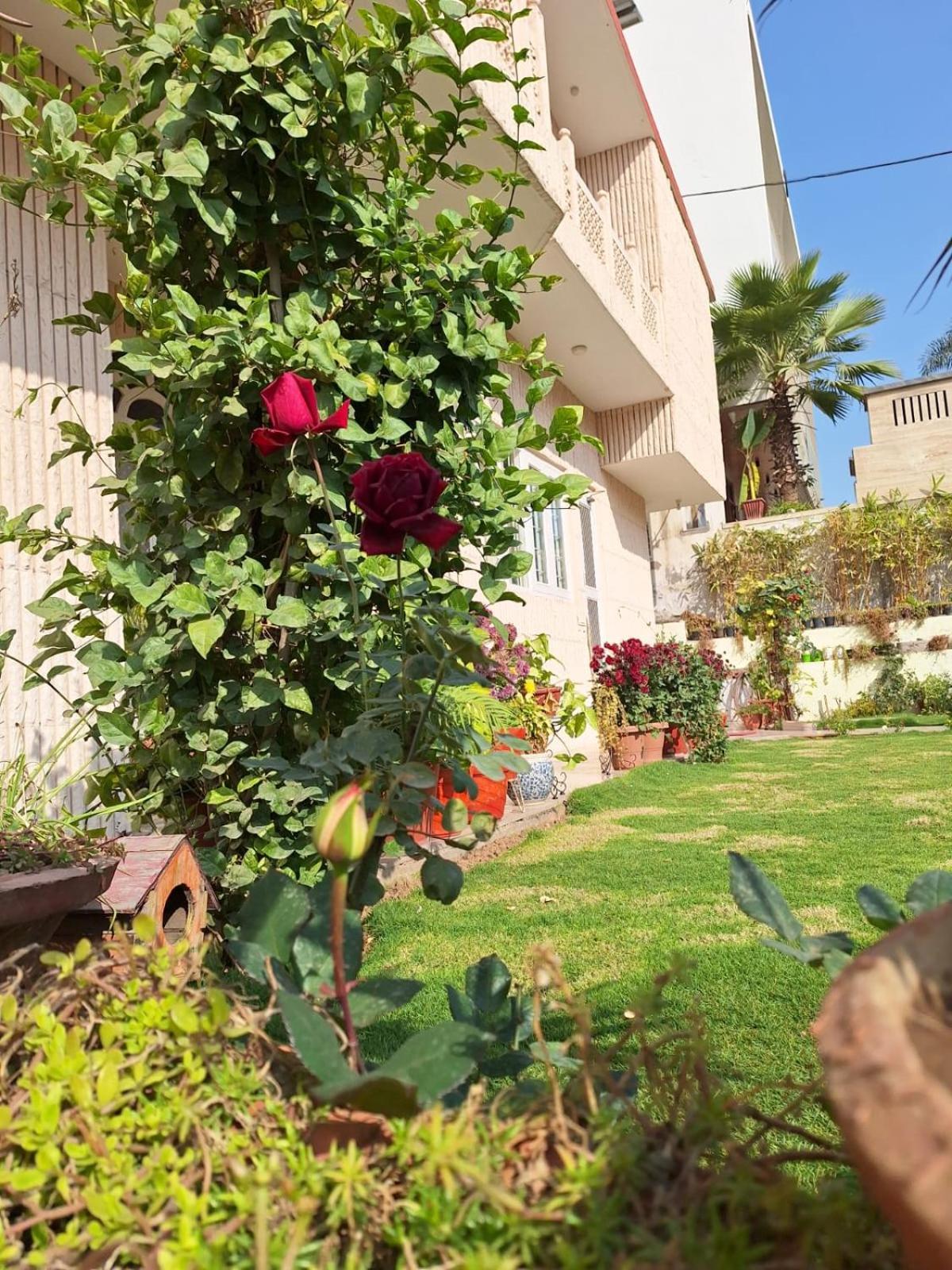 Chandranita Homestay Jaipur