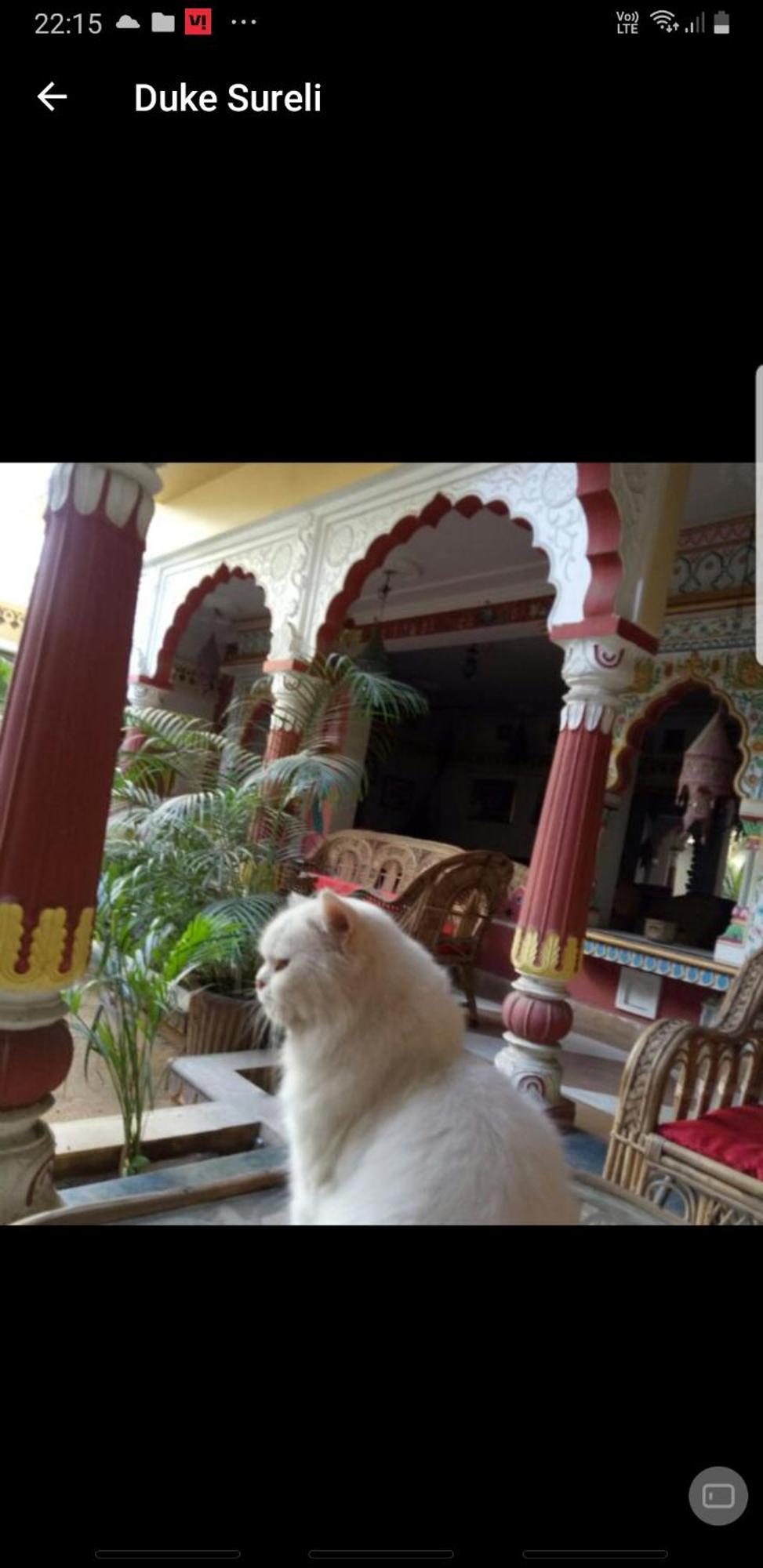 Sureli Haveli Homestay *