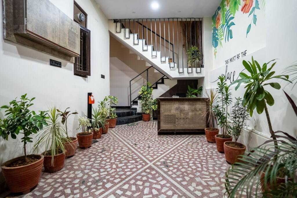 Apartment Peace House Luxury 2bhk With Full Modern Amenities *