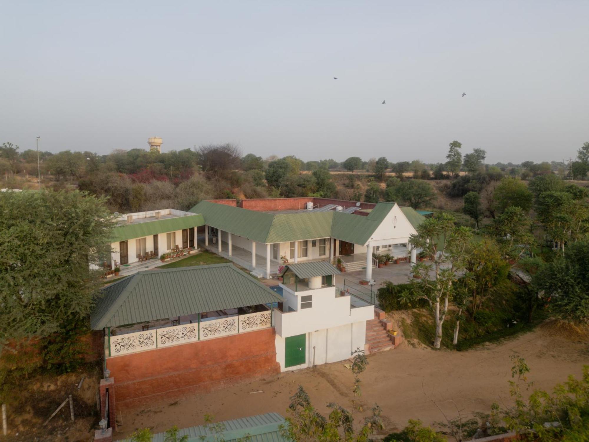Ebonystays Manor Green *