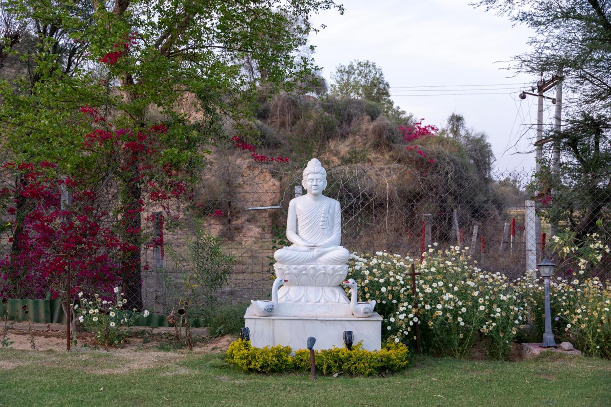 Ebonystays Manor Green Homestay Jaipur