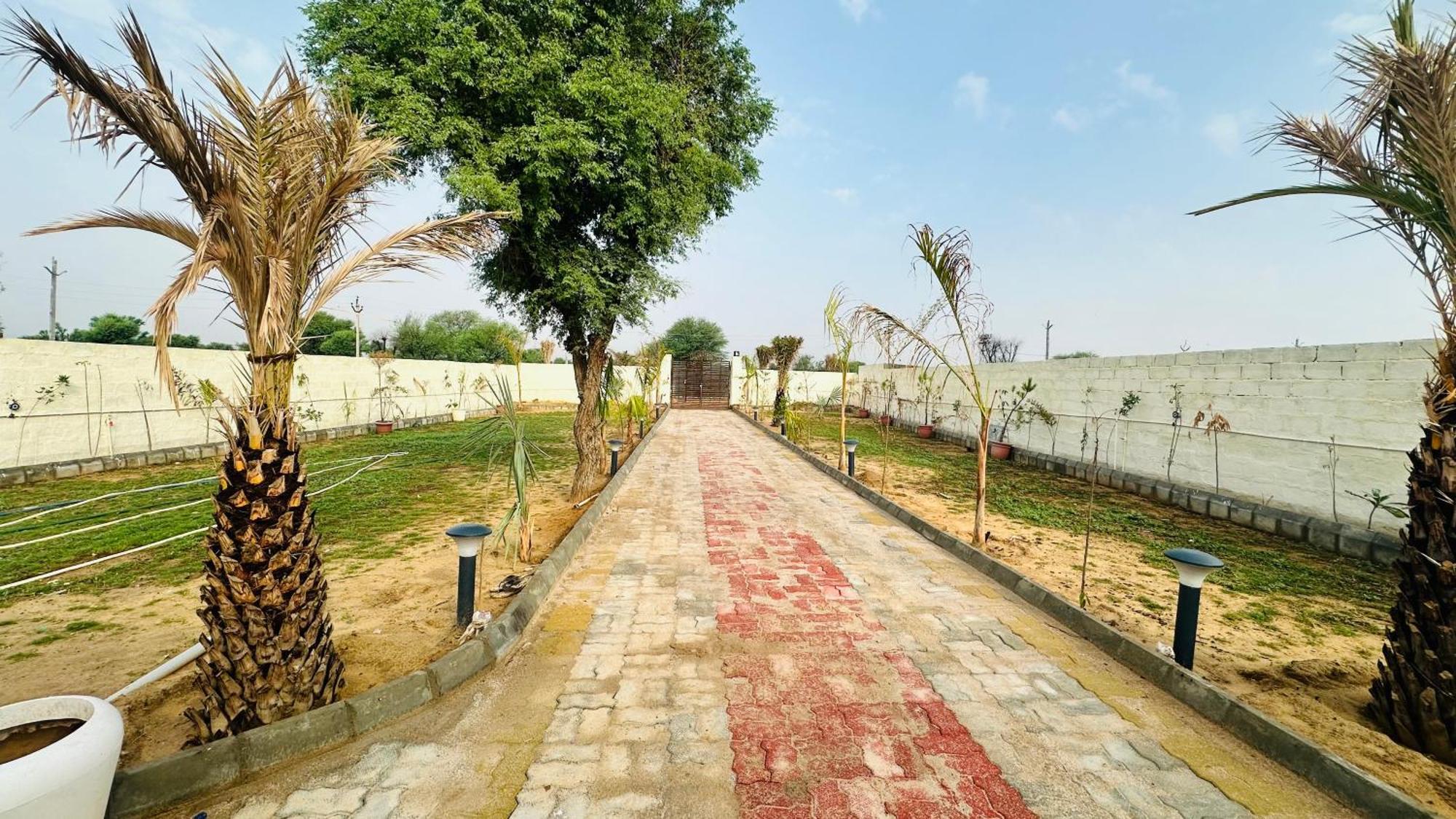 Blue Wind Palms And Farm stay Jaipur