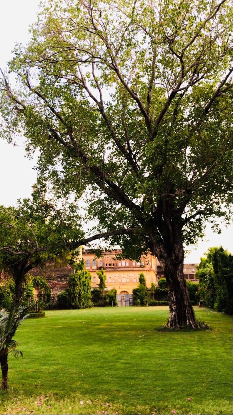 Saba Haveli 4* Jaipur