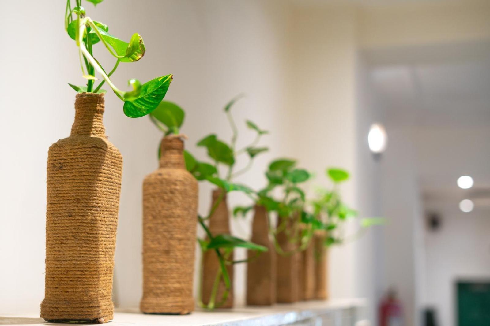 Anandmai - Sustainable Living Spaces * Jaipur
