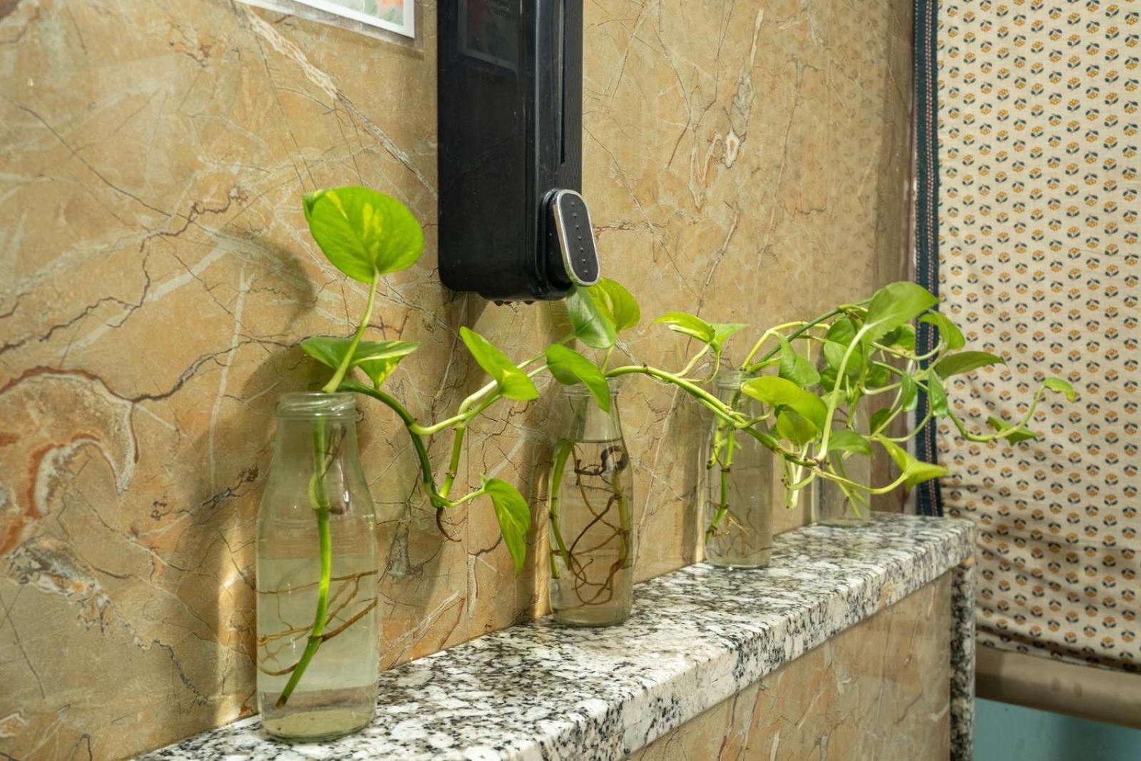Anandmai - Sustainable Living Spaces Bed & Breakfast *
