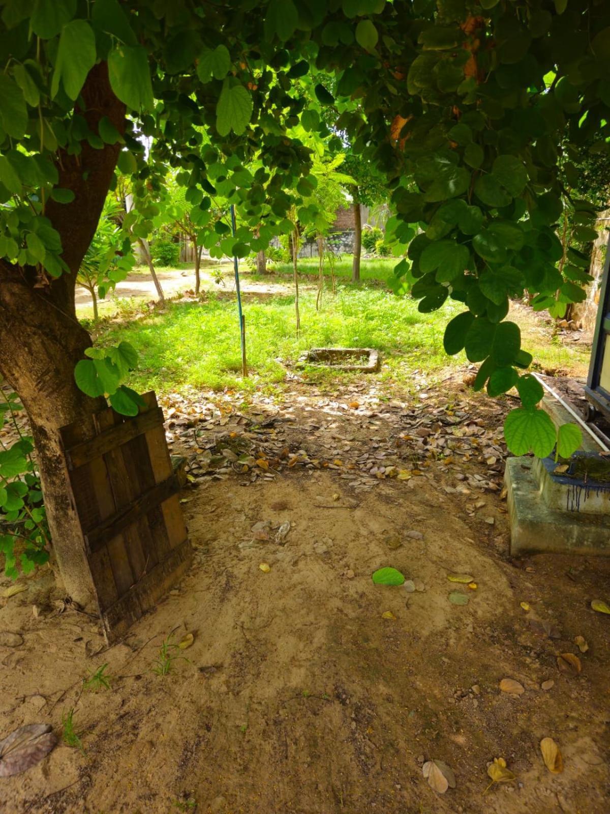 Farm stay Bliss Farm Jaipur