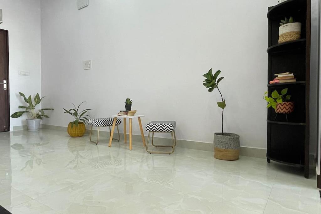 Villa Bark & Bash House