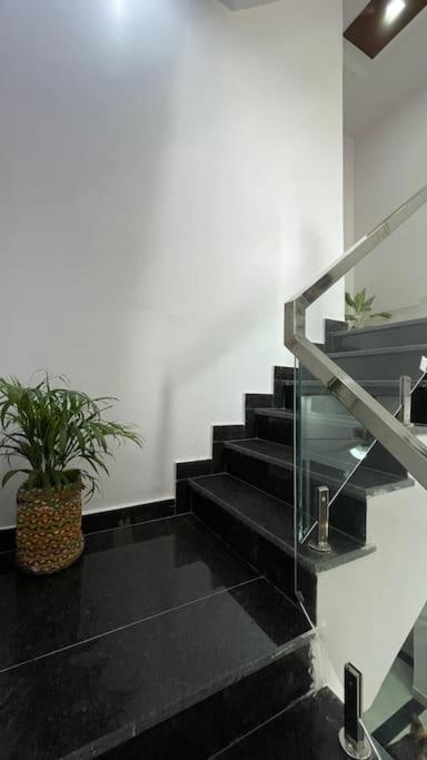 Bark & Bash House Jaipur