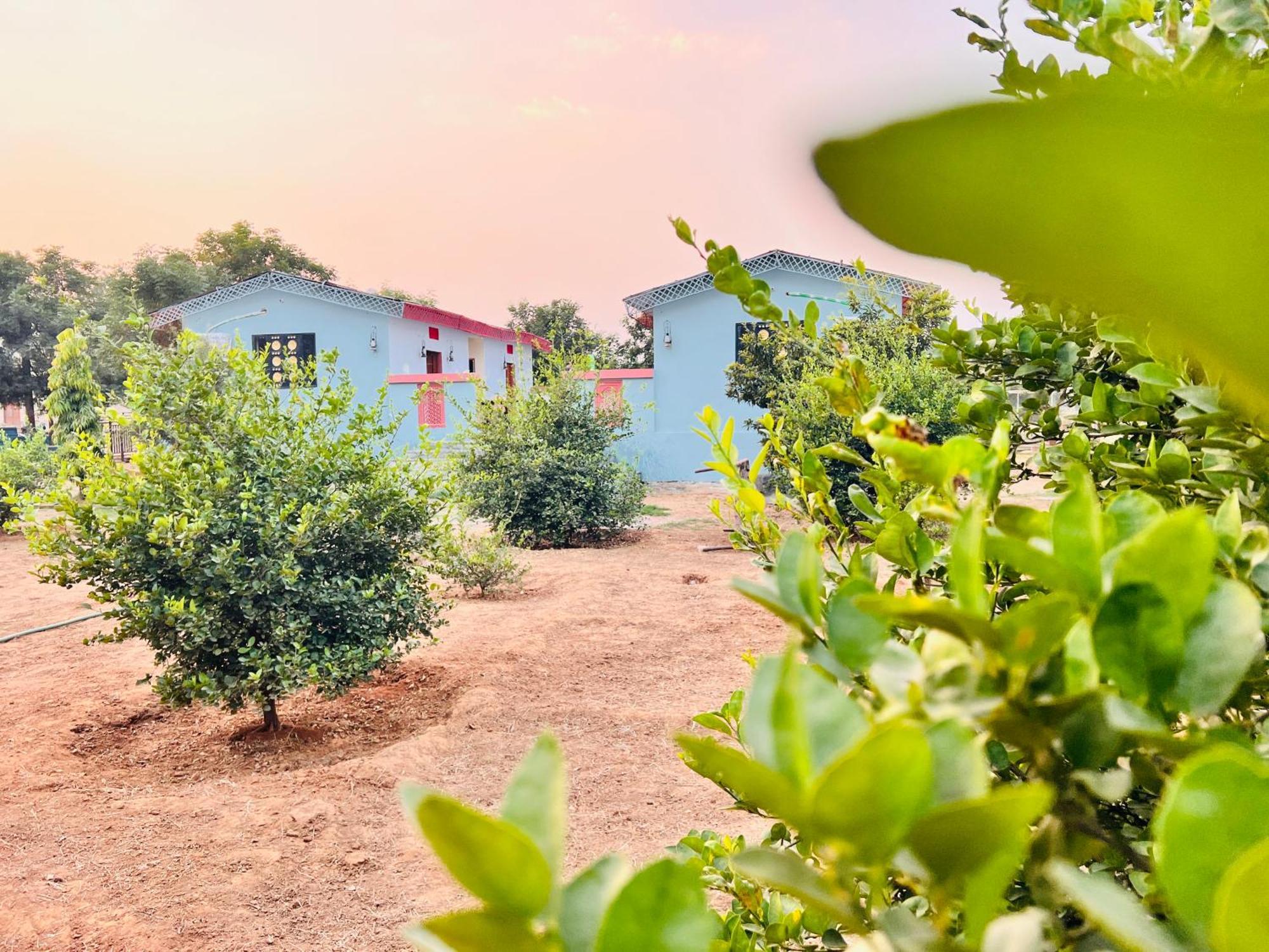 Eco Village