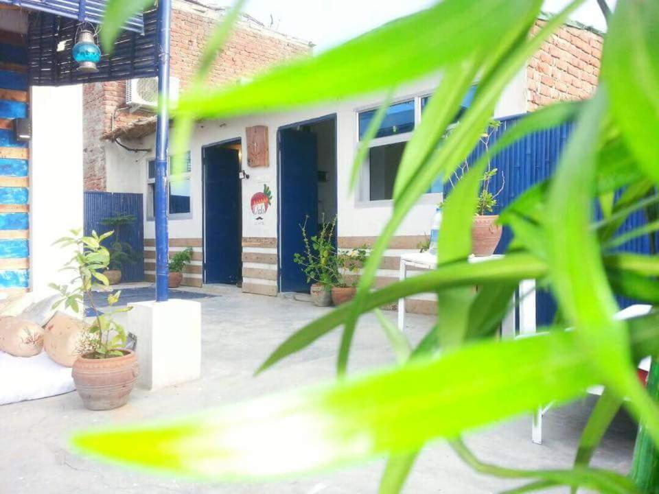 Eco Family Hostel *