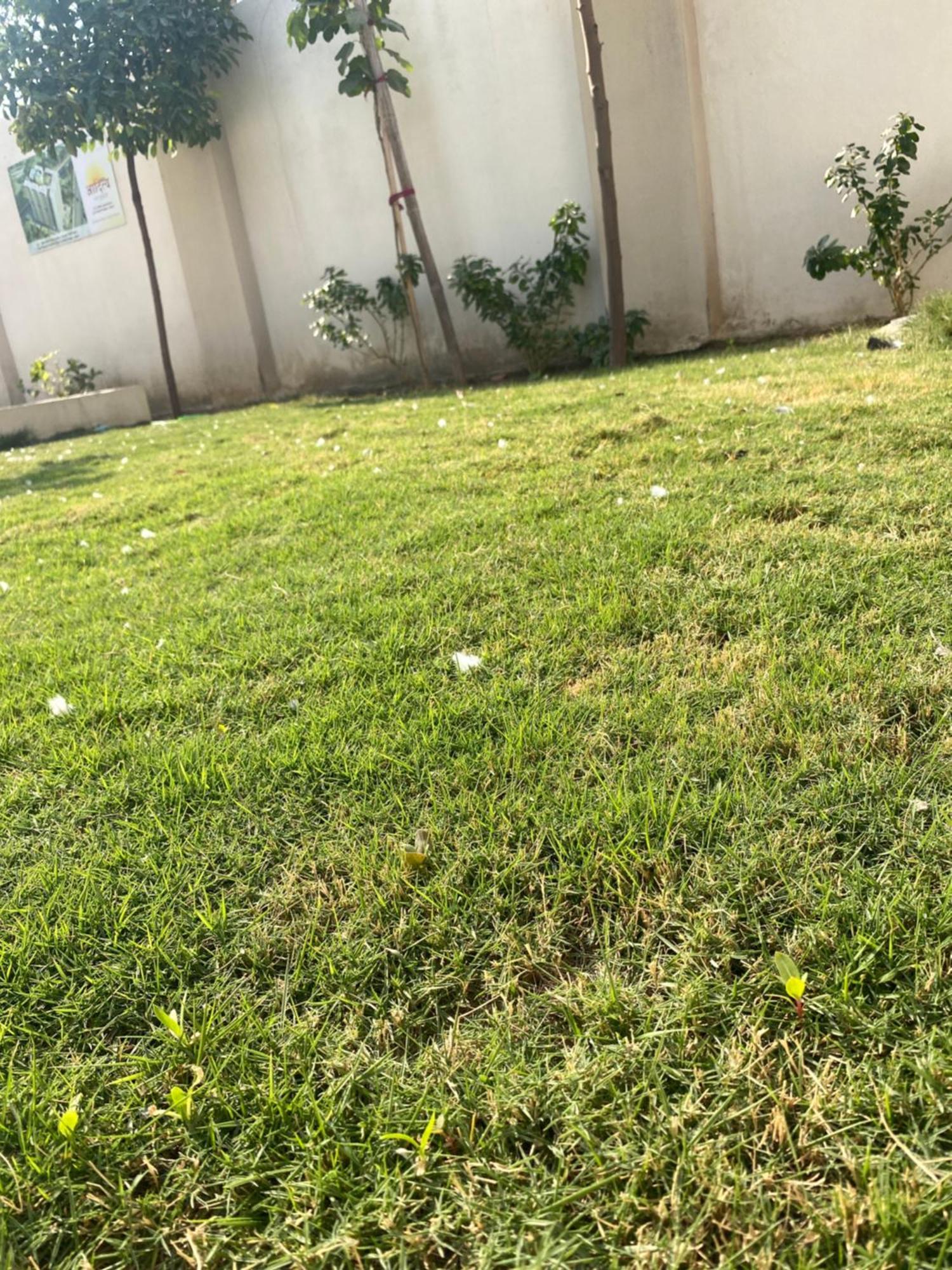 Apartment Jaipur Stay *