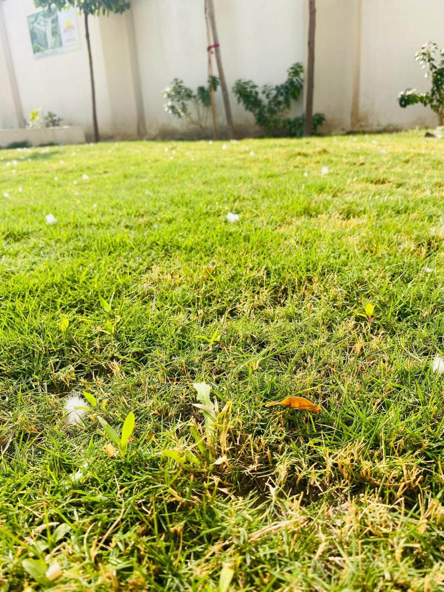 Sunshine Jaipur