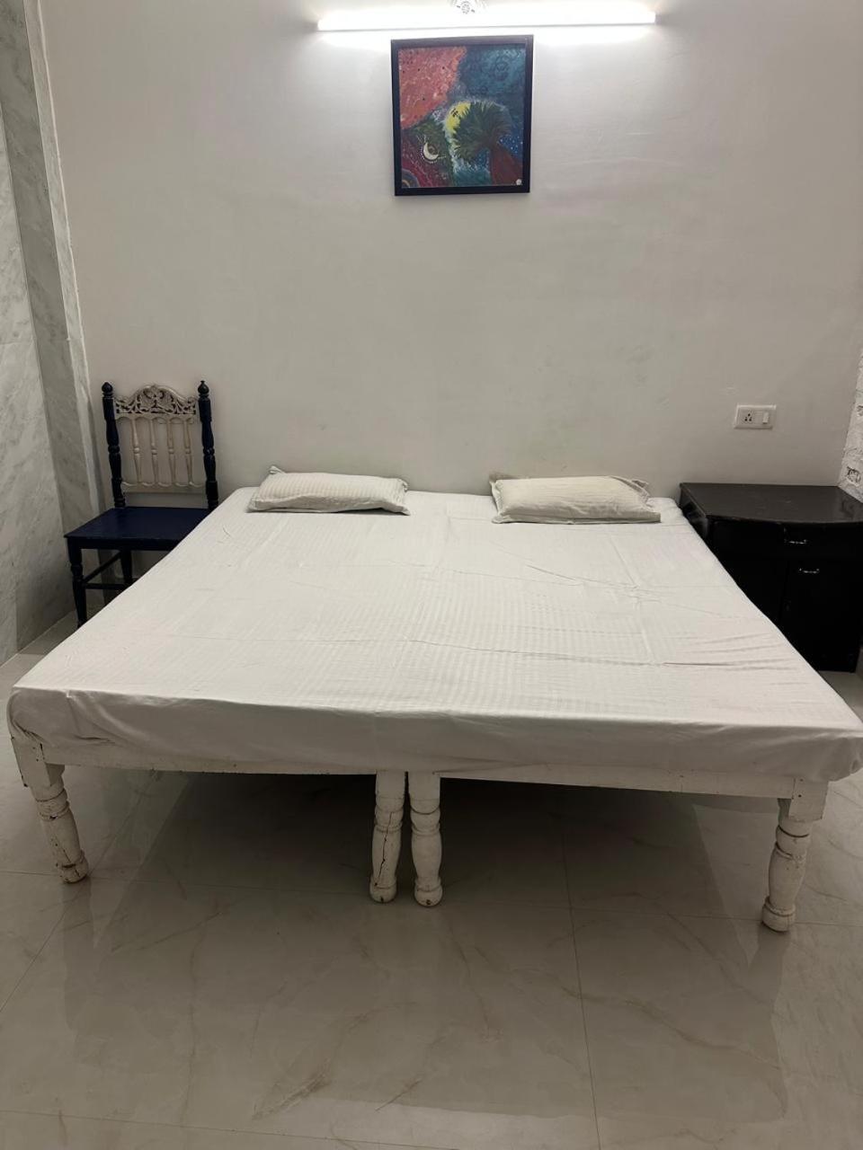 Eco Family Jaipur