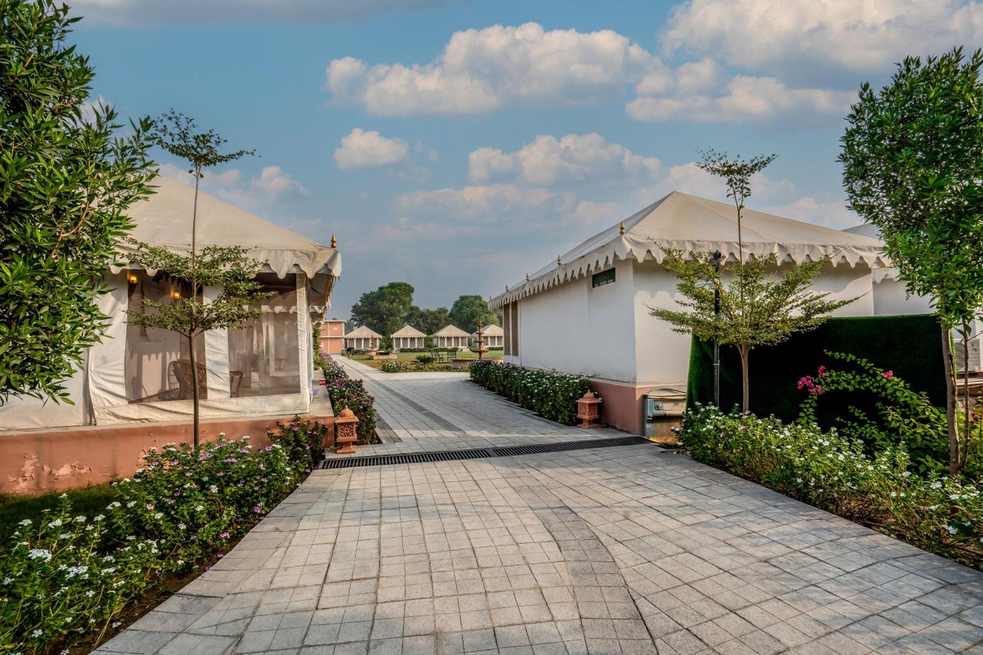 Buena Vista Luxury Garden