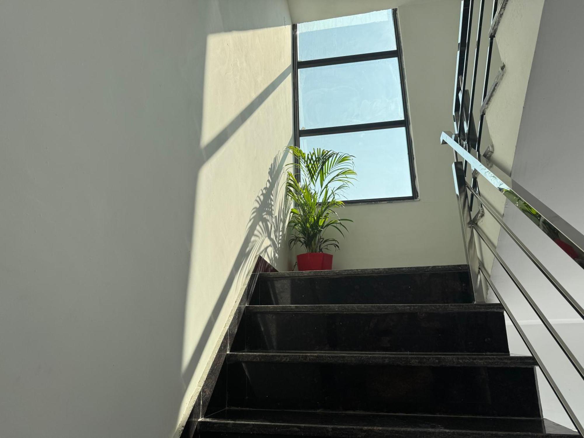 Hotel Hotal Avondale