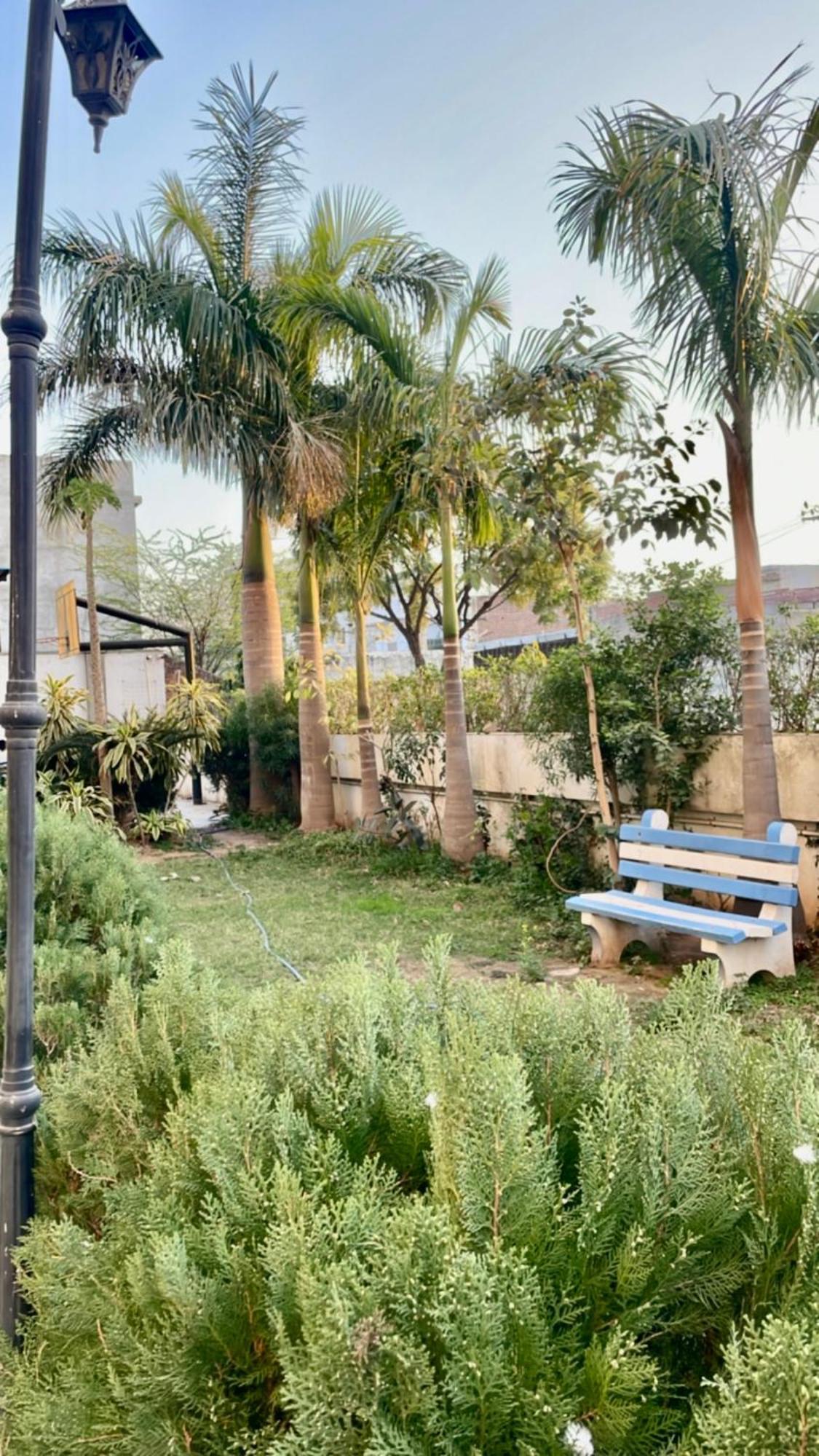 Zenroofs- Homely 2bhk Jaipur