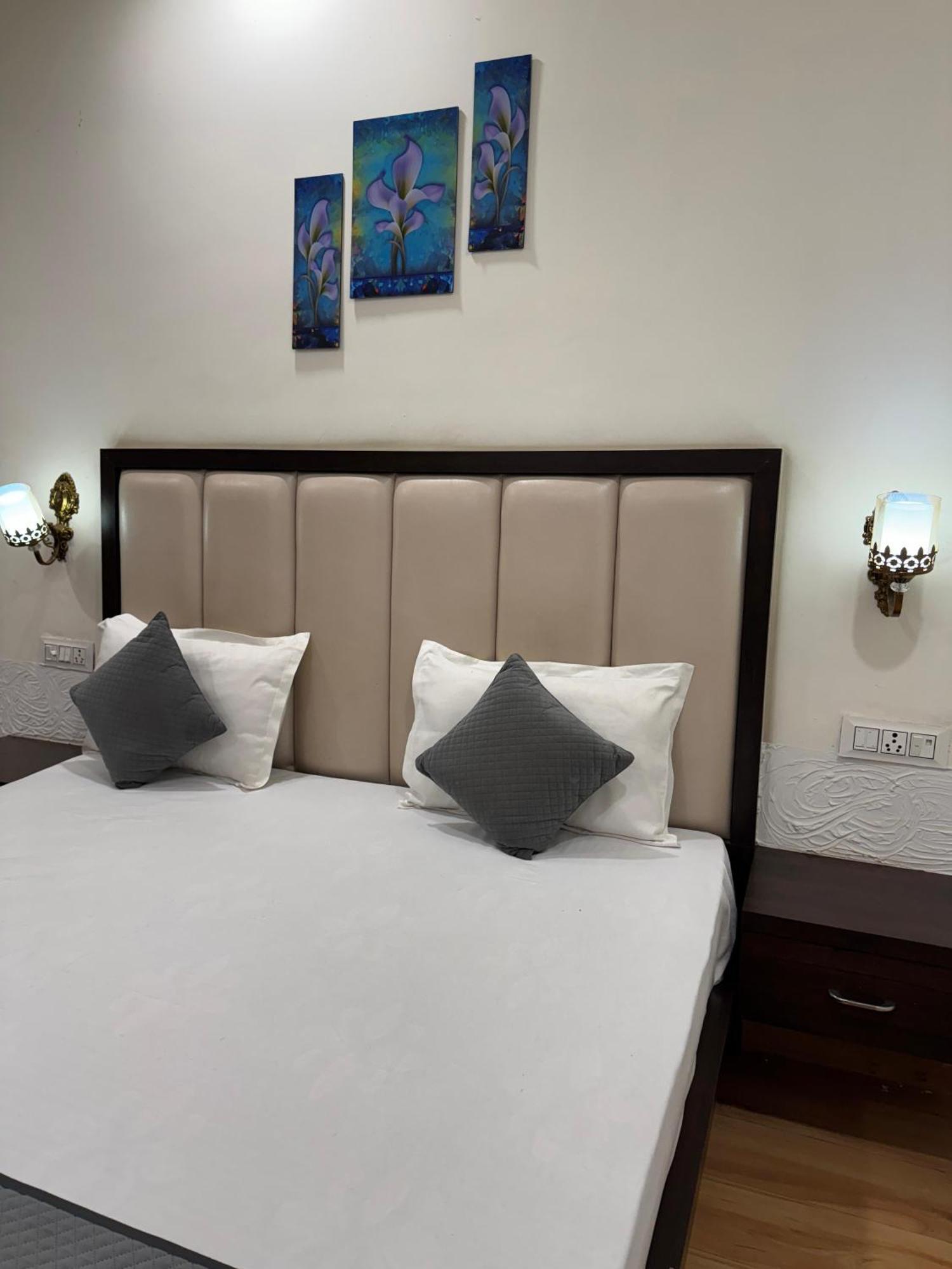The Sparkle Farm House Jaipur