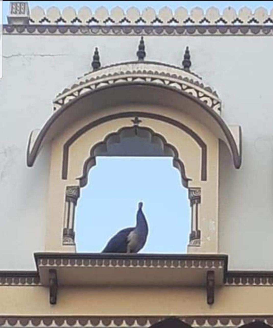Sureli Haveli