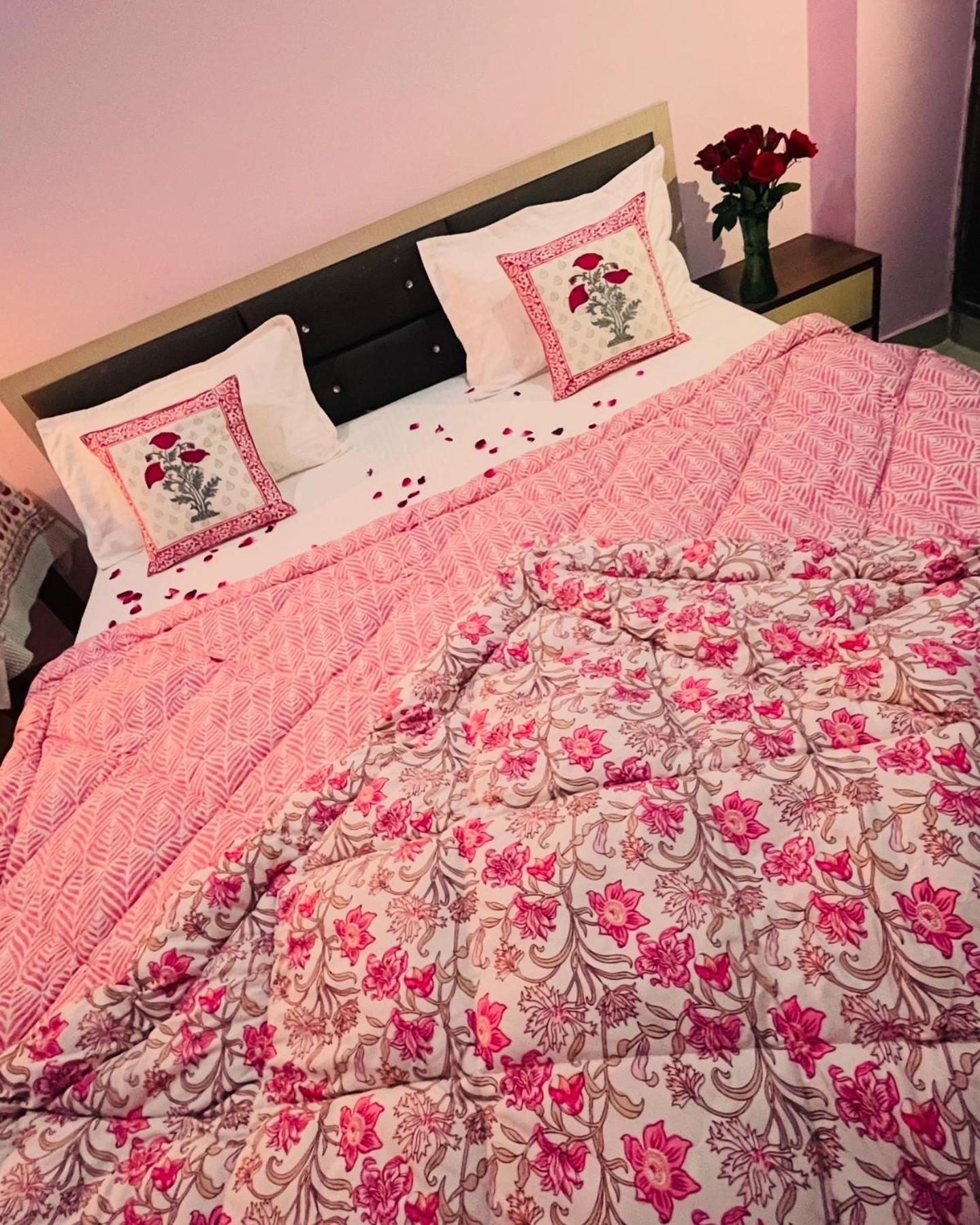 Experience The Vintage Charm - Private 3Bhk Flat In Jaipur Apartment