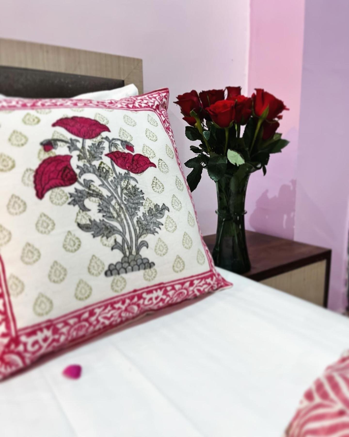 Experience The Vintage Charm - Private 3Bhk Flat In Jaipur Apartment Jaipur