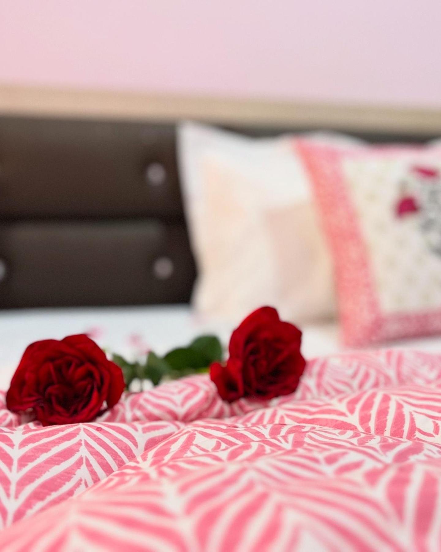 Experience The Vintage Charm - Private 3Bhk Flat In Jaipur *