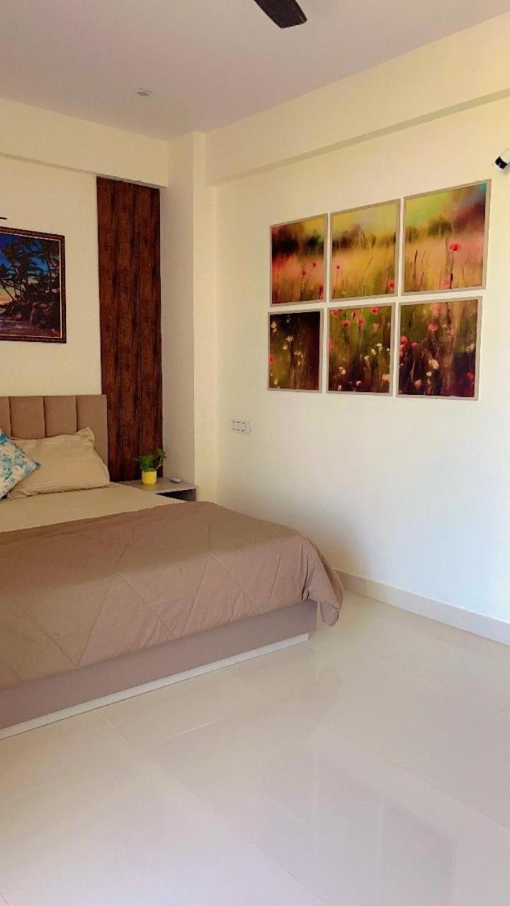 Oasis Oliviya *