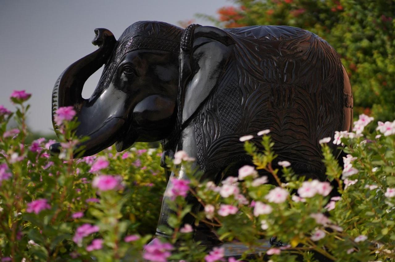 Buena Vista Luxury Garden Resort