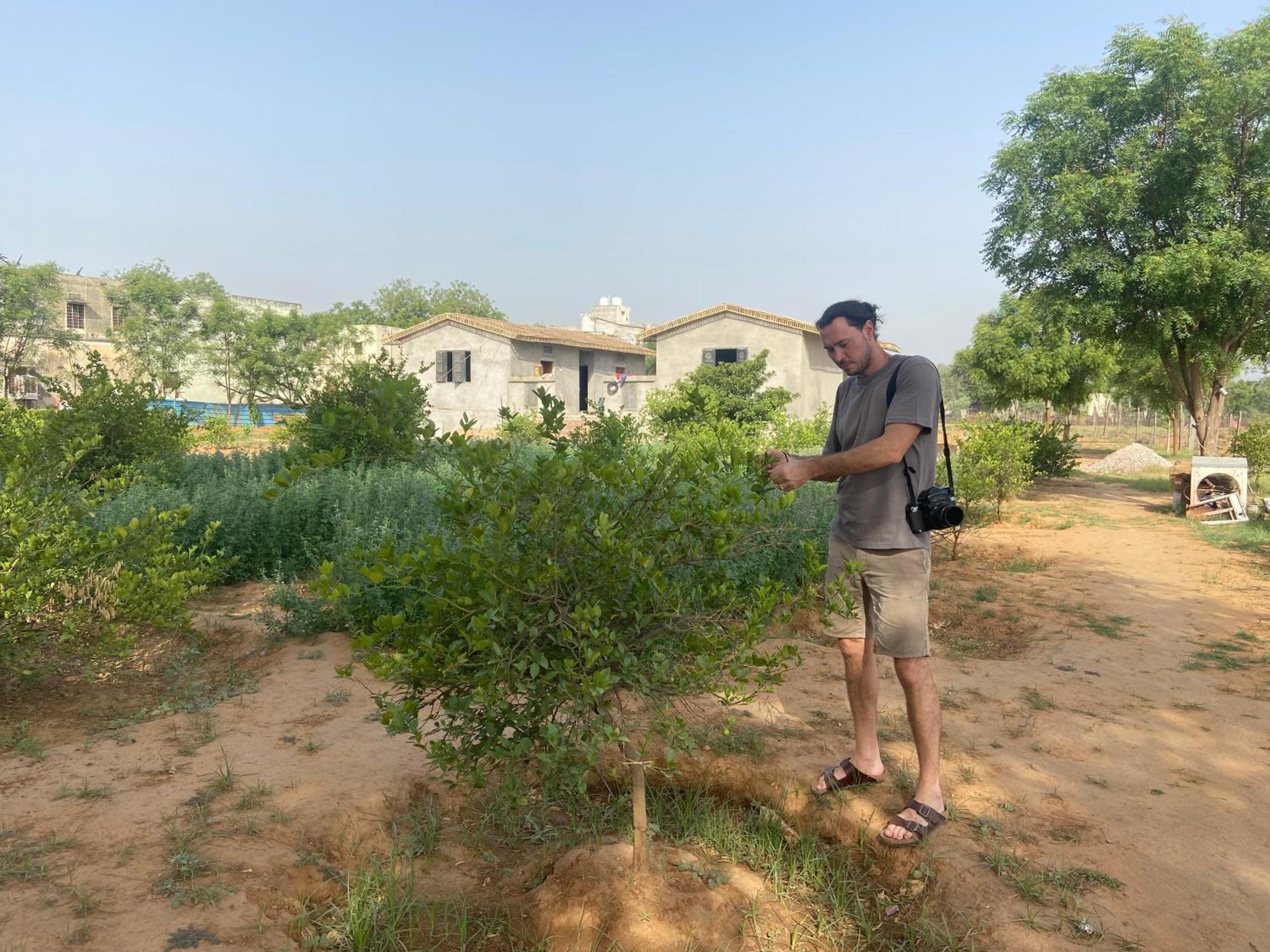 Homestay Eco Village *