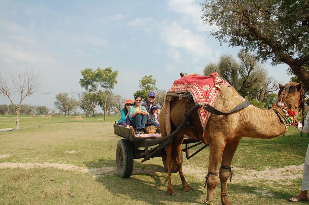Savista Retreat Hotel Jaipur