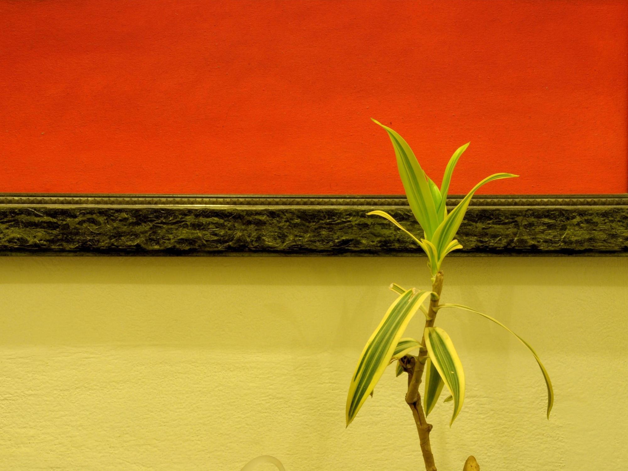 Hotel Tara Niwas Jaipur