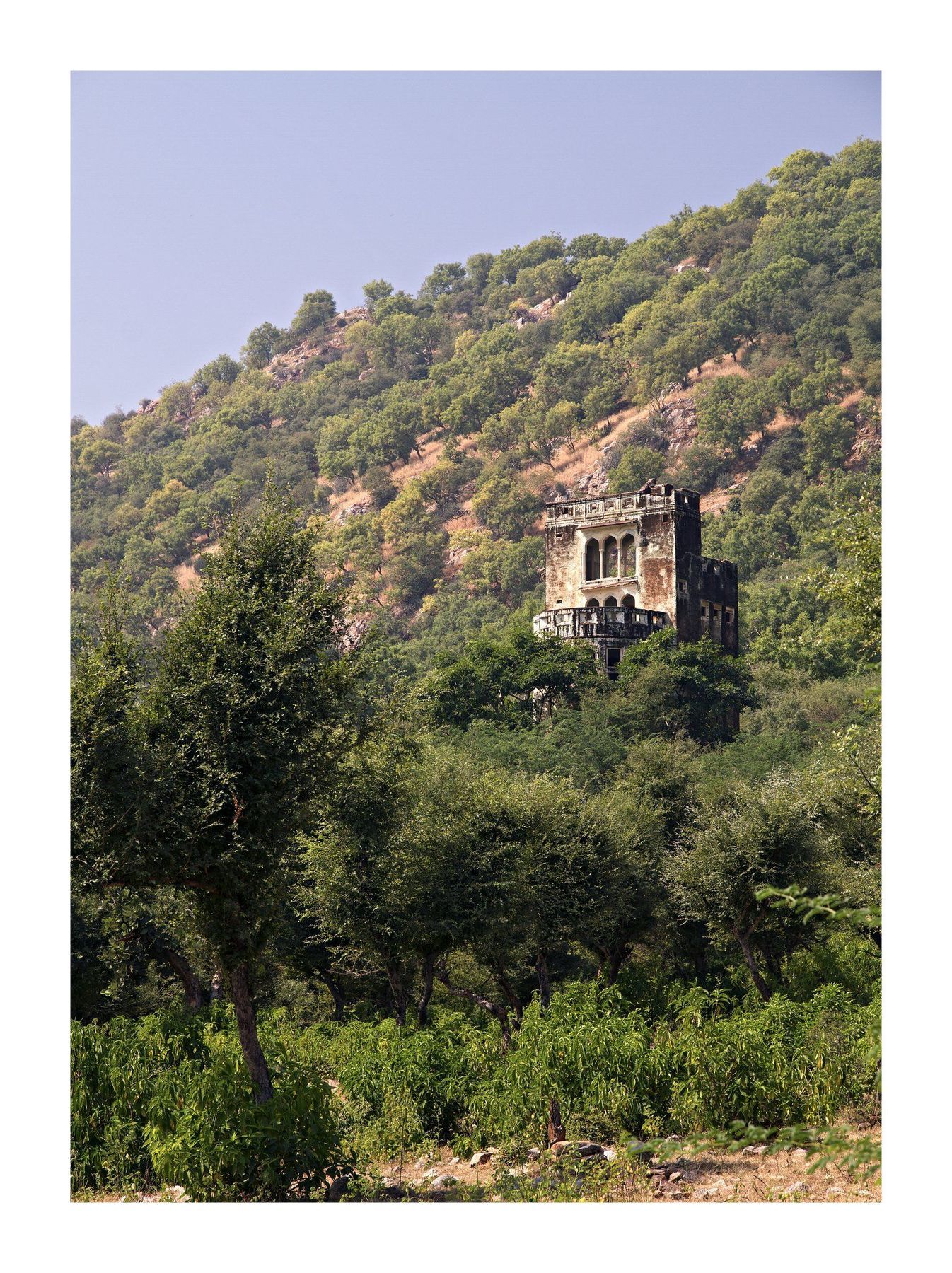 Resort Ramgarh Lodge, - Ihcl Seleqtions 5*