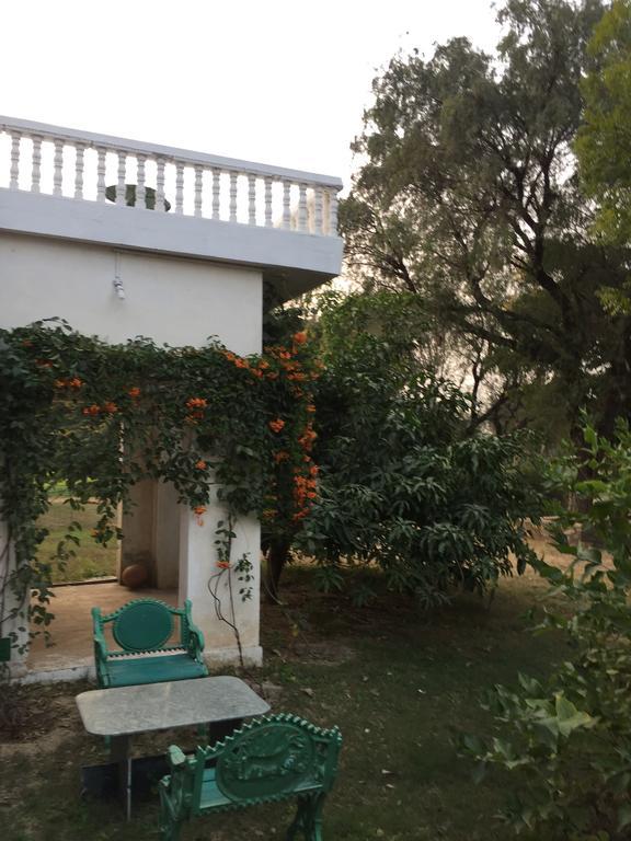 Savista Retreat Hotel Jaipur