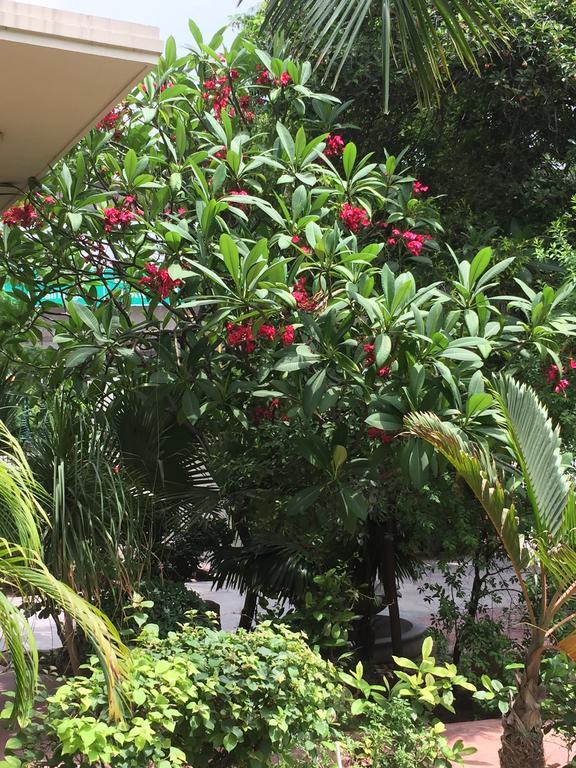 Hotel Barwara Kothi