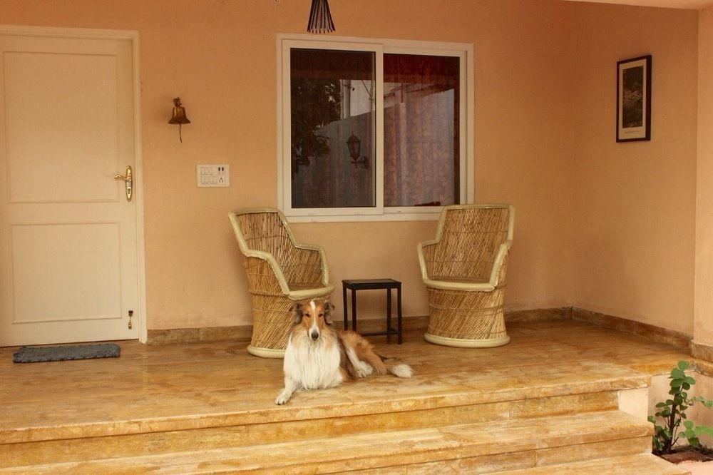 Bed & Breakfast Pratap Bhawan 2*