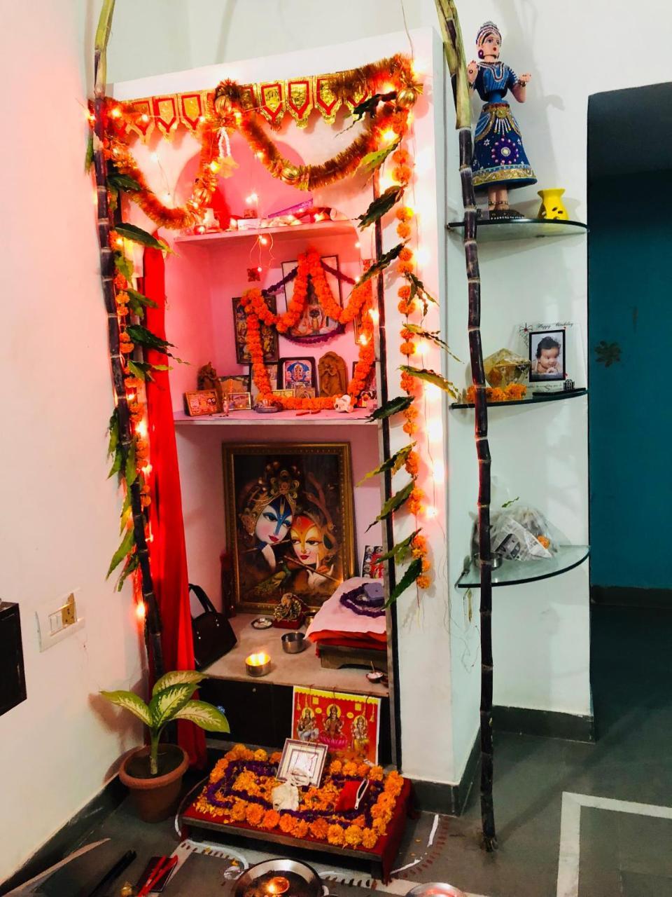 Maison Homestay Jaipur