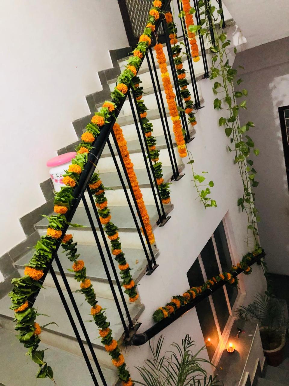 Homestay Maison Jaipur