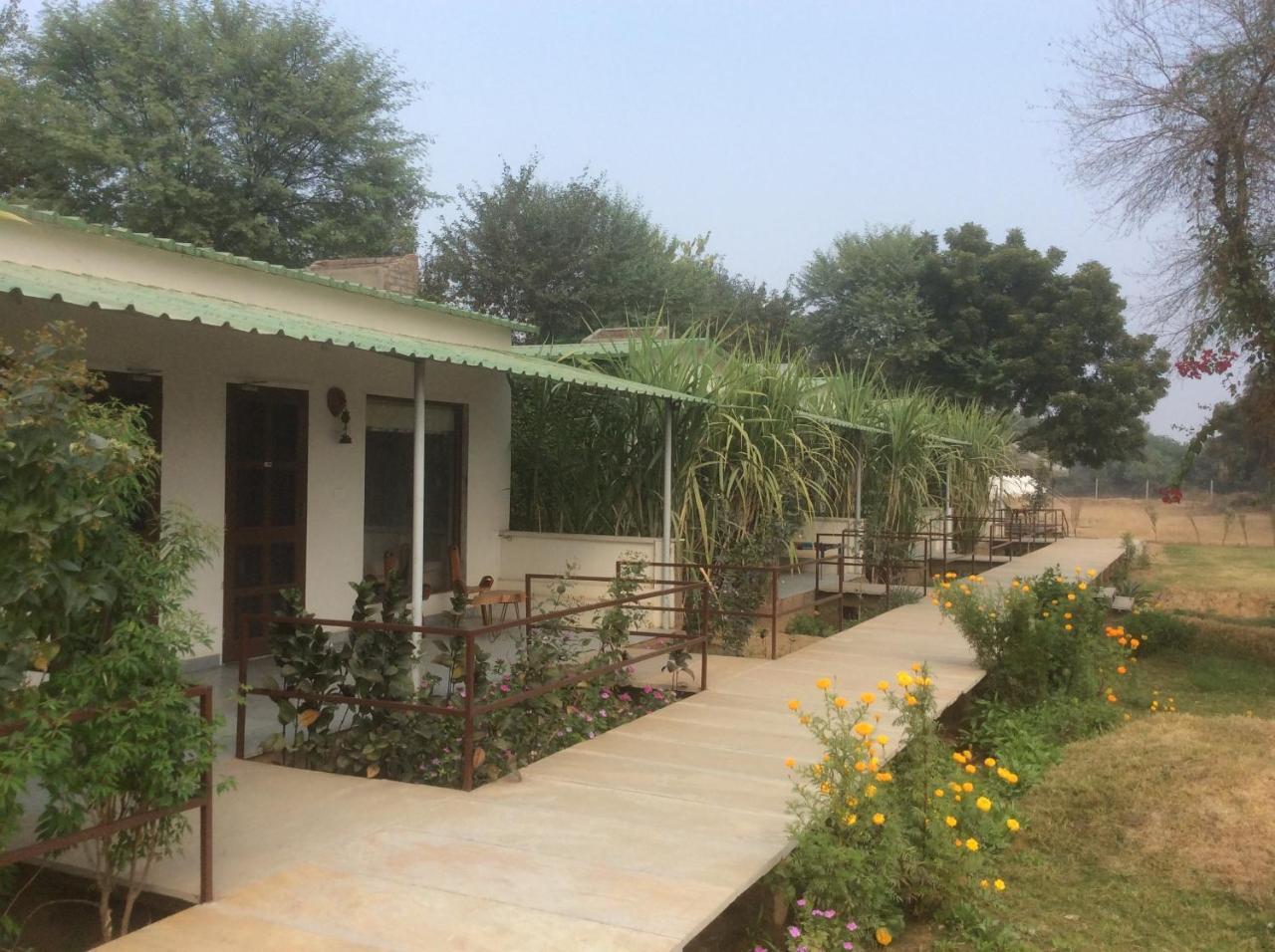 Kanota Camp * Jaipur