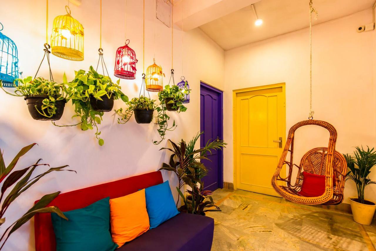 Hostel Gostops Lite